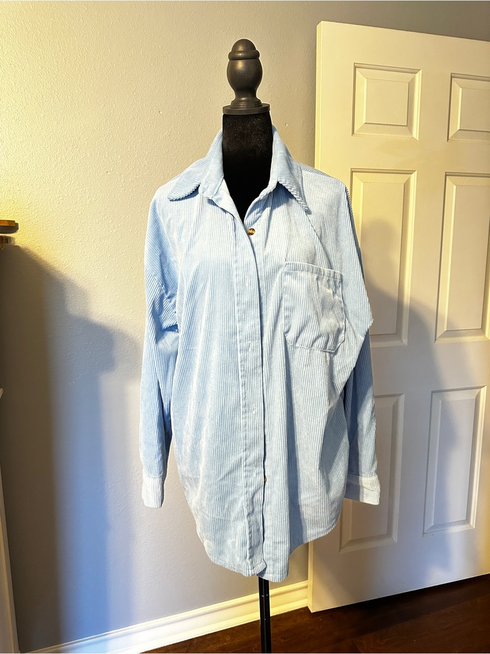 Light Blue Women's Button-Down Shirt
